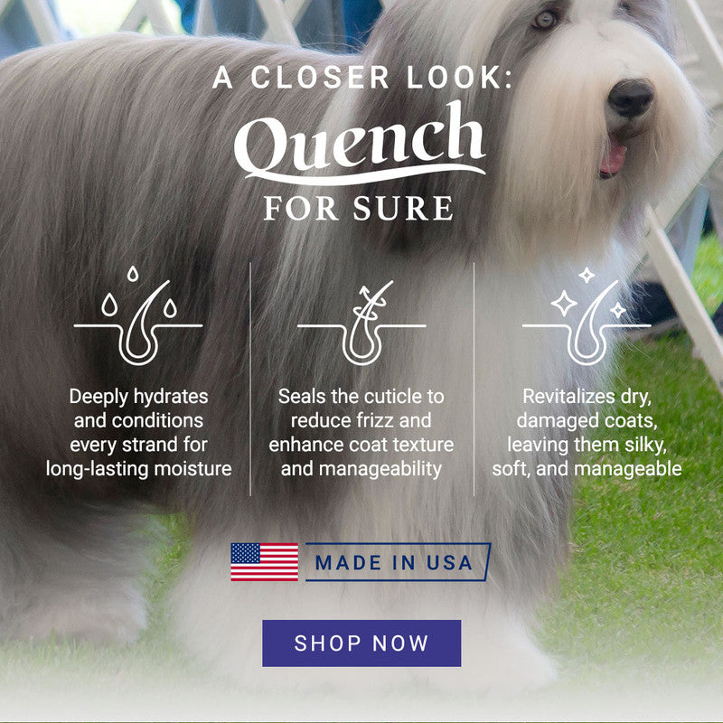 Chris Christensen Quench For Sure Leave-in Conditioning Spray