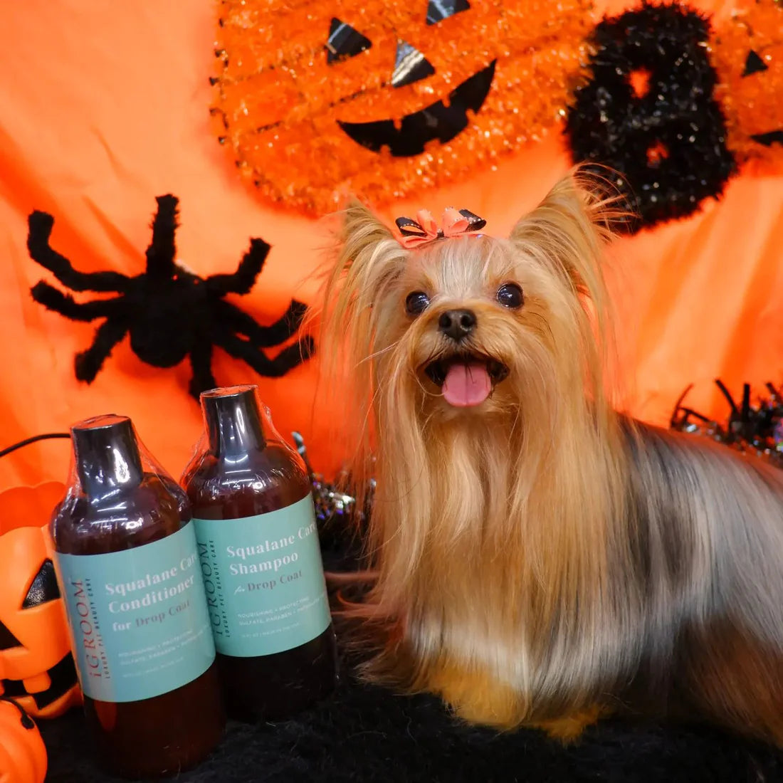 Argan + Vitamin E Moisturizing Pet Shampoo (16oz)