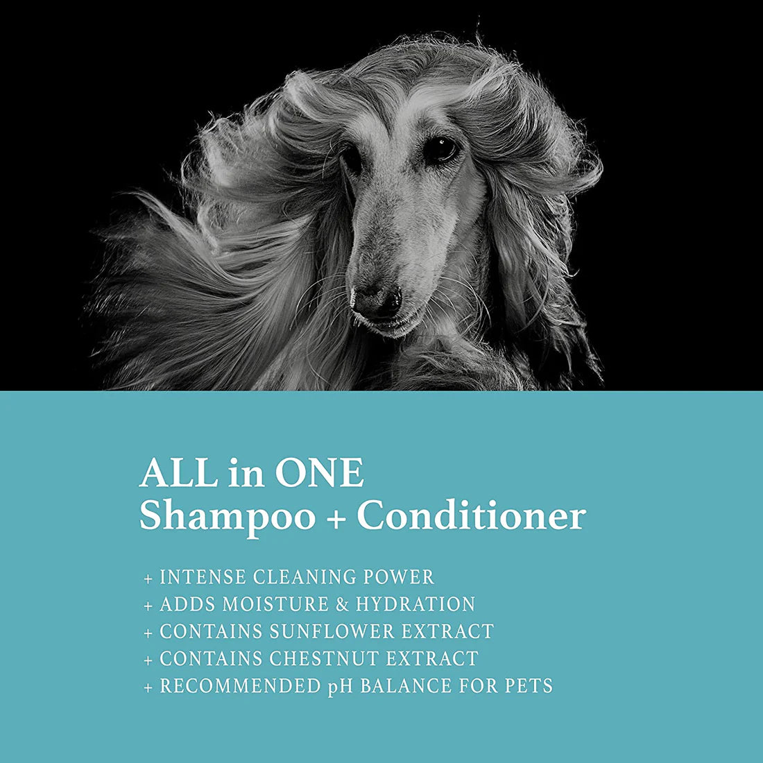 All-In-One Pet Shampoo & Conditioner (Gallon)
