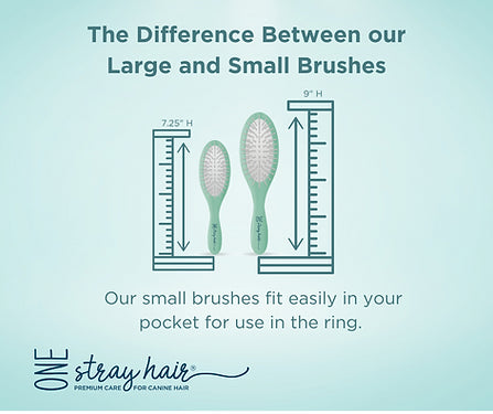 Cushioned-Boar Bristle-SMALL-Oval-Sea Glass