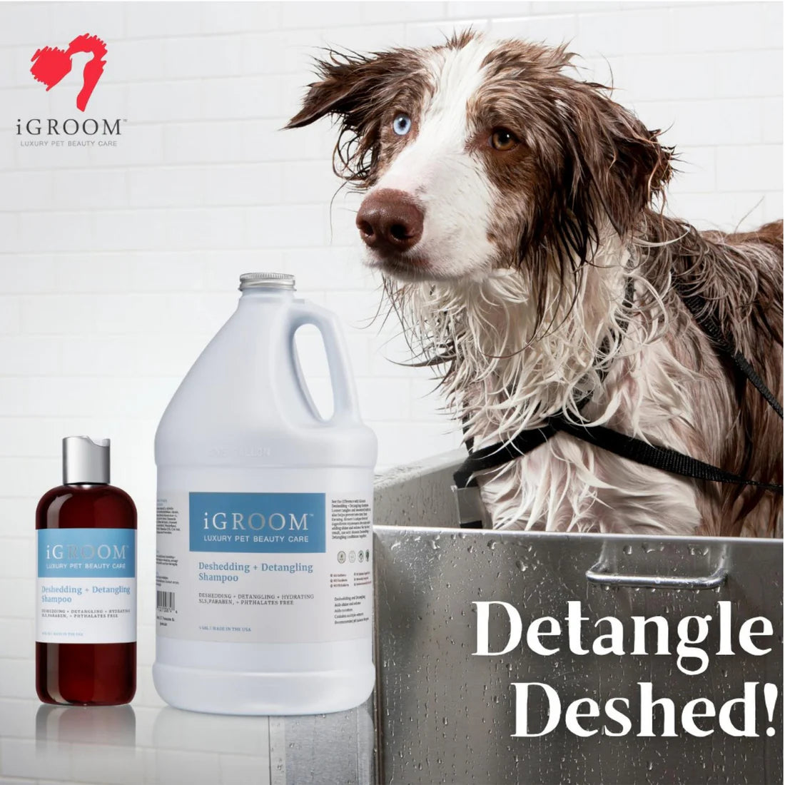 Deshedding + Detangling Pet Shampoo (Gallon)