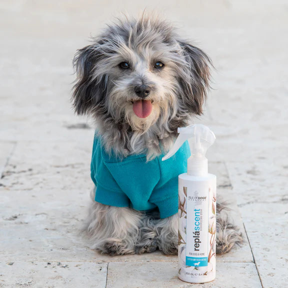 REPLÁSCENT - COTTON + FRESH ORCHID