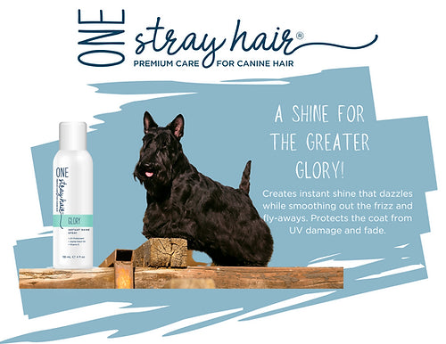 Glory - Instant Shine Spray