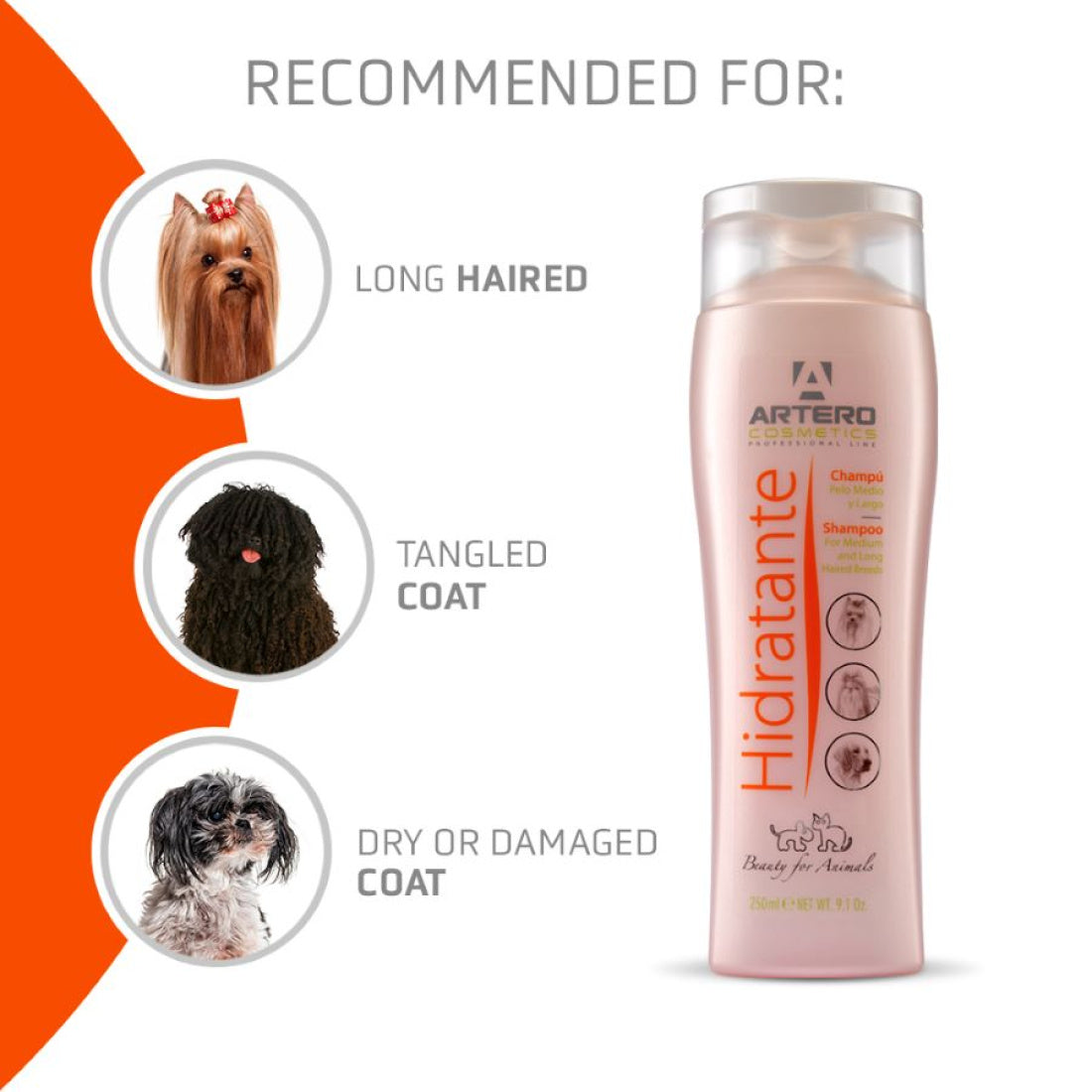 Artero Hidratante Shampoo 9 Oz