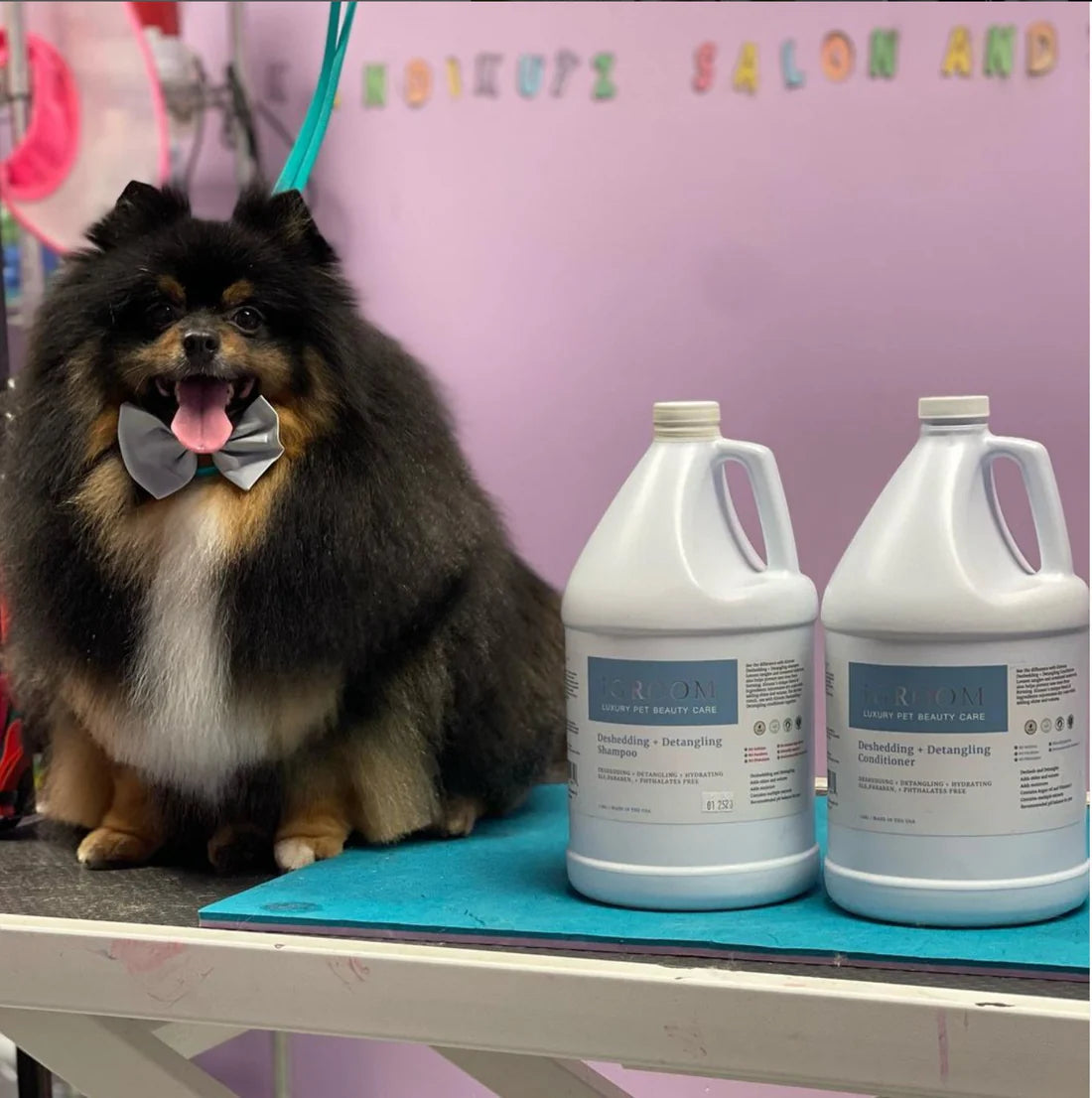 Deshedding + Detangling Pet Shampoo (Gallon)