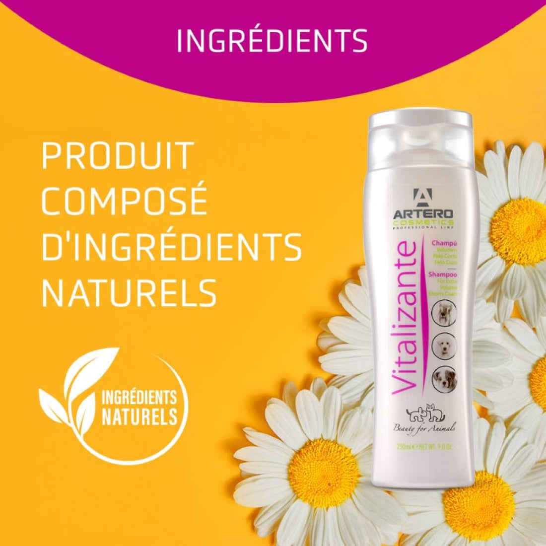 Artero Vitalizante Shampoo 9 Oz
