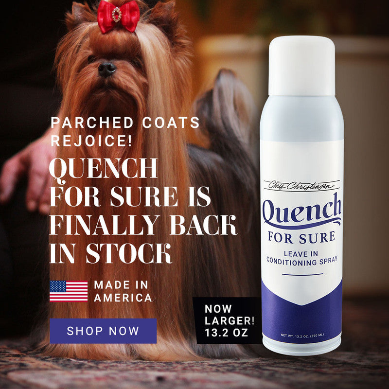 Chris Christensen Quench For Sure Leave-in Conditioning Spray