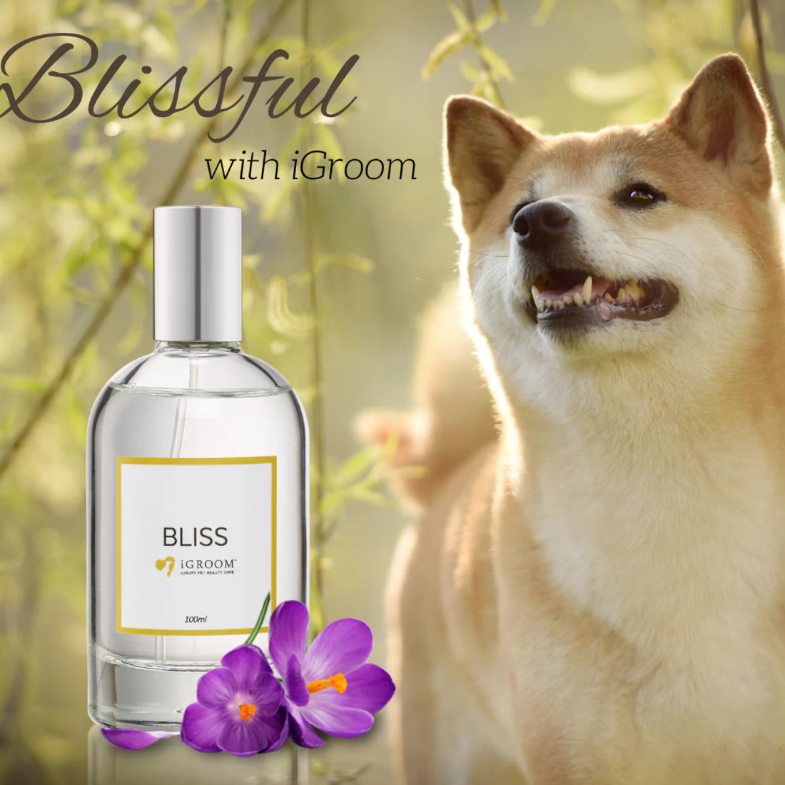 Bliss Pet Perfume - Mild Sweet Scent