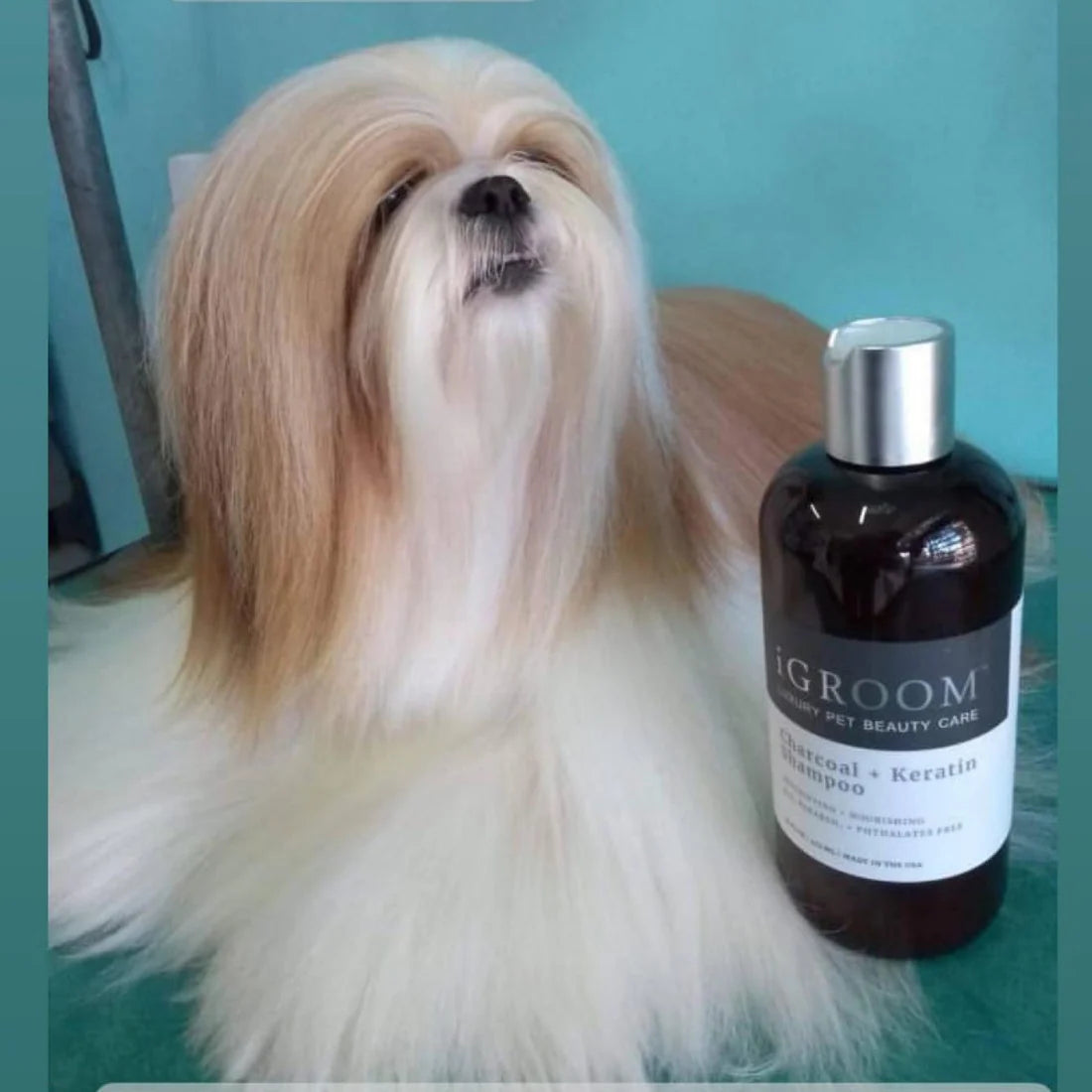 Charcoal & Keratin Pet Shampoo
