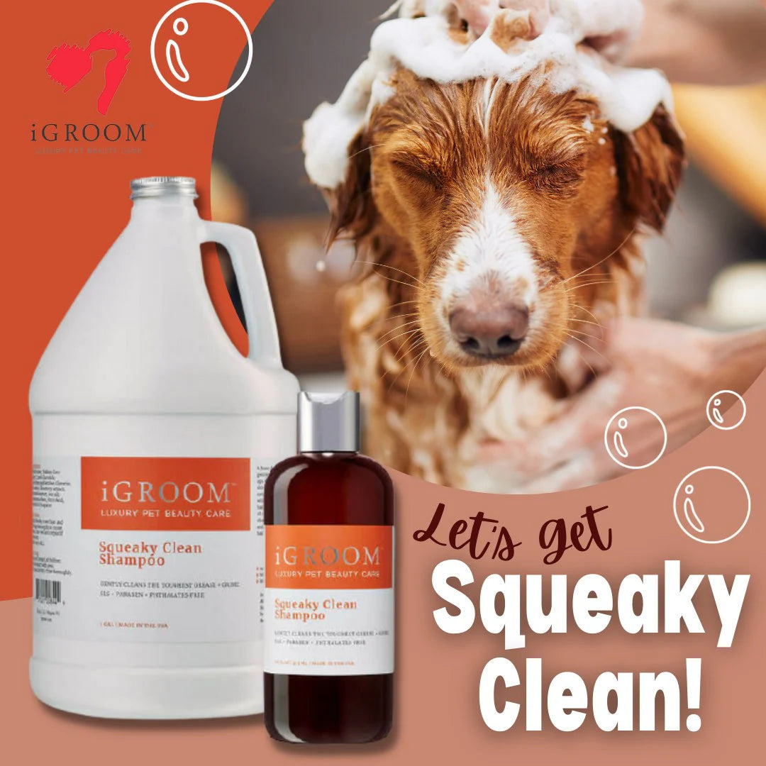 Squeaky Clean Pet Shampoo 16 oz
