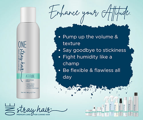 Attitude - Amplifying Texture Spray