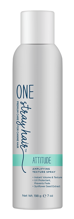 Attitude - Amplifying Texture Spray