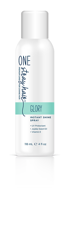 Glory - Instant Shine Spray